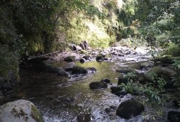 Parcela en  Villarrica, Cautín