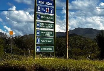 5 tierras en venta en Bustamante, Nuevo León 