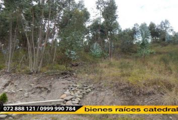 Terreno Comercial en  Llacao, Cuenca