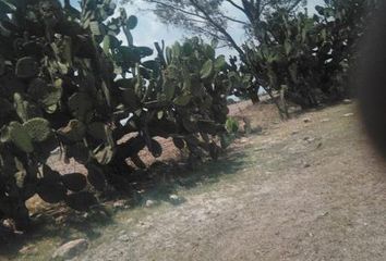 Lote de Terreno en  Rancho O Rancheria Ex Hacienda San Ignacio, Ciudad De Aguascalientes