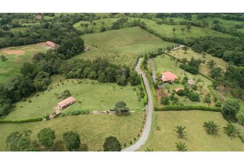 Lotes y Terrenos en  Barrio Colón, La Chorrera