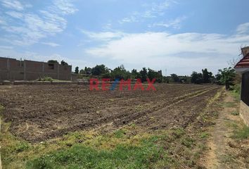 Terreno en  Jirón Los Jazmines, Moche, Trujillo, La Libertad, 13601, Per