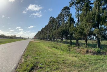 Terrenos en  Ruta 5, Mercedes, B6600, Buenos Aires, Arg