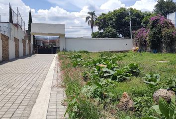 Lote de Terreno en  Maravillas, Cuernavaca, Morelos