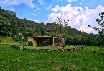 Lote de Terreno en  Américas, Toluca De Lerdo