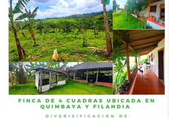 Villa-Quinta en  Quimbaya, Quindío