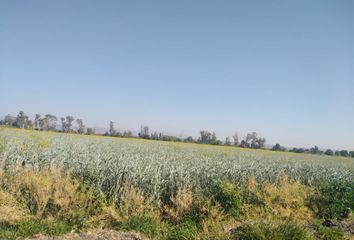 Rancho en  San Luis Rey, Guanajuato