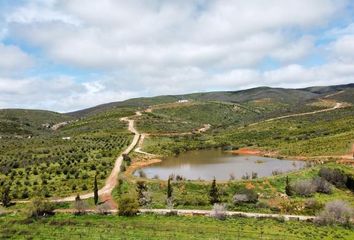 Lote de Terreno en  Principal 1-205, Francisco Zarco, Ensenada, Baja California, 22750, Mex