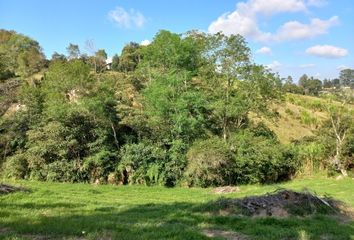 Lote de Terreno en  El Carmen De Viboral, Antioquia