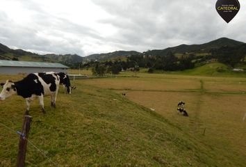 Terreno Comercial en  Tarqui, Cuenca