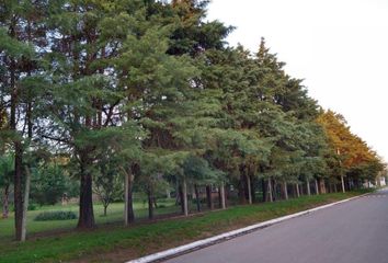 Terrenos en  Virrey Del Pino, La Matanza