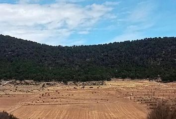 Lote de Terreno en  Ejidal, Arteaga, Arteaga, Coahuila