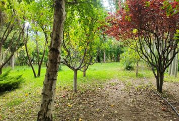 Terrenos en  Comodoro Rivadavia, Chubut