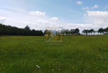 Terreno en  San Claudio, Asturias