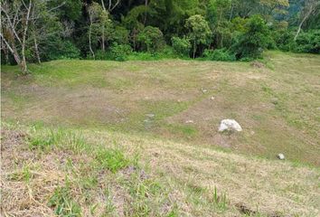 Lote de Terreno en  Titiribí, Antioquia