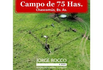Quinta/Finca en  Avenida Lastra, Chascomús, Provincia De Buenos Aires, Arg