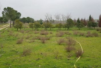 Terreno en  Villanueva Del Pardillo, Madrid Provincia