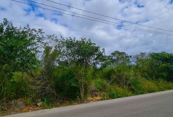 Lote de Terreno en  Temozón Norte, Mérida, Yucatán, Mex