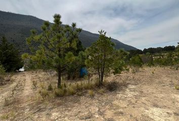 Lote de Terreno en  Arteaga, Arteaga, Arteaga, Coahuila