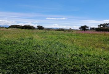 Lote de Terreno en  Árbol De La Vida, Metepec