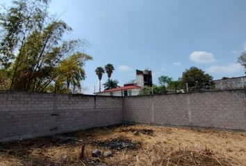 Lote de Terreno en  Centro, Cuautla, Cuautla, Morelos