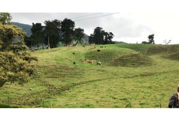 Villa-Quinta en  Sabanalarga Antioquia, Antioquia