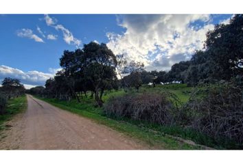 Terreno en  Ciudad Rodrigo, Salamanca Provincia