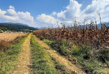 Lote de Terreno en  Amanalco, México, Mex