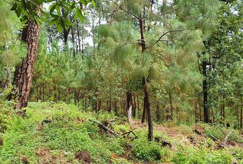 Lote de Terreno en  Avándaro, Valle De Bravo