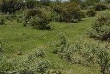 Lote de Terreno en  Bio Grand Juriquilla, Juriquilla, Querétaro