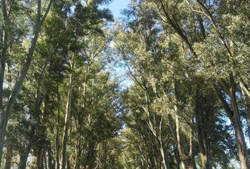 Terrenos en  Villa Ruiz, Partido De San Andrés De Giles