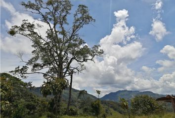 Lote de Terreno en  Cocorná, Antioquia