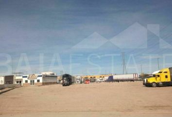 Lote de Terreno en  El Toto, Mex-2, Ejido Puebla, Mexicali, Baja California, 21620, Mex