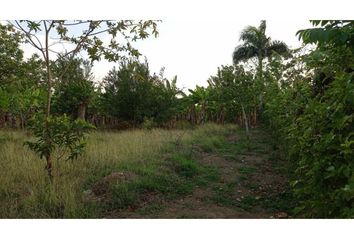 Lote de Terreno en  El Centro, Montería