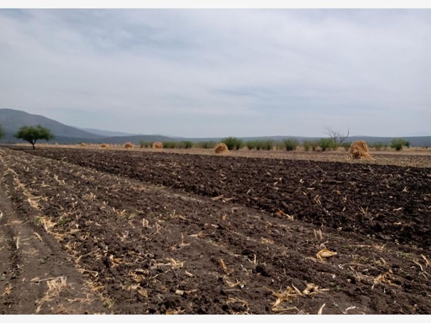 venta Lote de Terreno en San Ciro de Acosta Estado San Luis