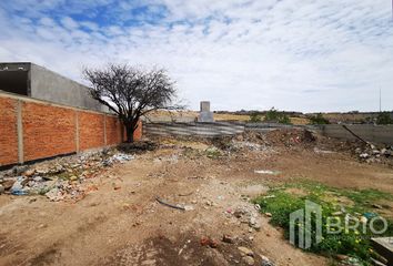 Lote de Terreno en  Buenos Aires, Durango