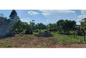 Lote de Terreno en  La Castellana, Montería