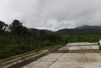 Lote de Terreno en  Ejidal Tres Puentes, Morelia, Michoacán