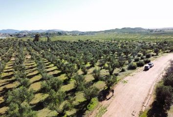 Lote de Terreno en  La Misión, Ensenada