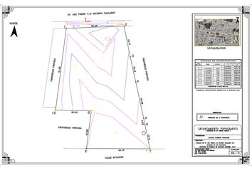 Lote de Terreno en  Avenida San Pedro 236, Providencia, Soledad De Graciano Sánchez, San Luis Potosí, 78434, Mex