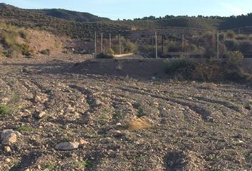 Terreno en  Lorca, Murcia Provincia