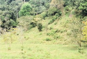 Villa-Quinta en  Coburgo, Fusagasugá