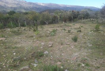 Terrenos en  Merlo, San Luis