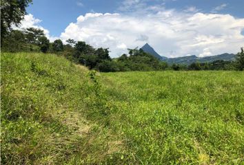 Lote de Terreno en  Titiribí, Antioquia