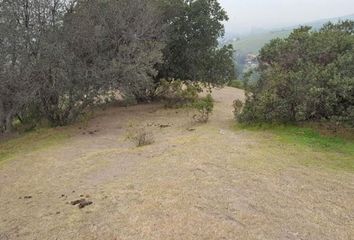 Parcela en  La Reina, Provincia De Santiago