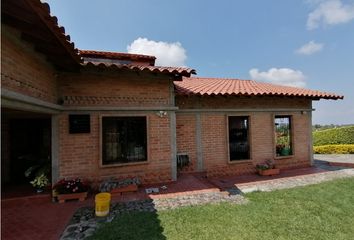 House for rent in Centro, Pereira