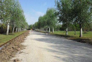 Terrenos en  Puerto Roldán, Roldán