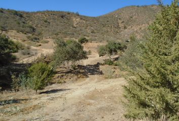 Parcela en  Curacaví, Melipilla