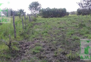 Lote de Terreno en  Palizada, Campeche