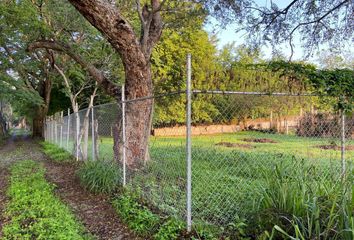 Lote de Terreno en  Rancho O Rancheria Cofradía De Suchitlán, Comala